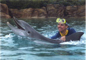 Swimming with Yoko at SeaWorld